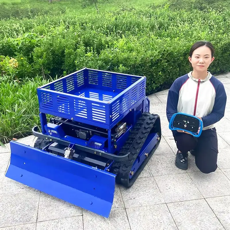 

Customised Mini Farm Flail Lawn Robotic Crawler Lawn Mower for Grass Cutting - Arrival Home