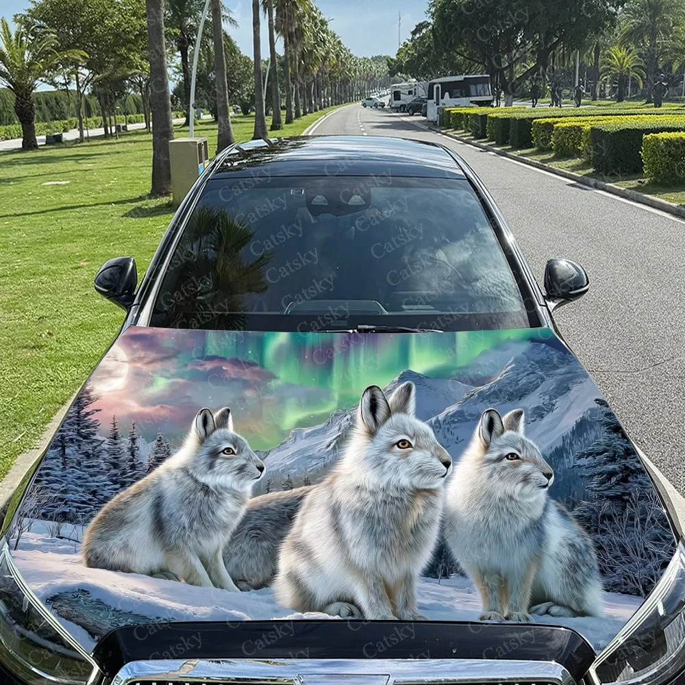 This car hood features three arctic foxes against a snowy landscape with aurora lights, creating a stunning and unique design.