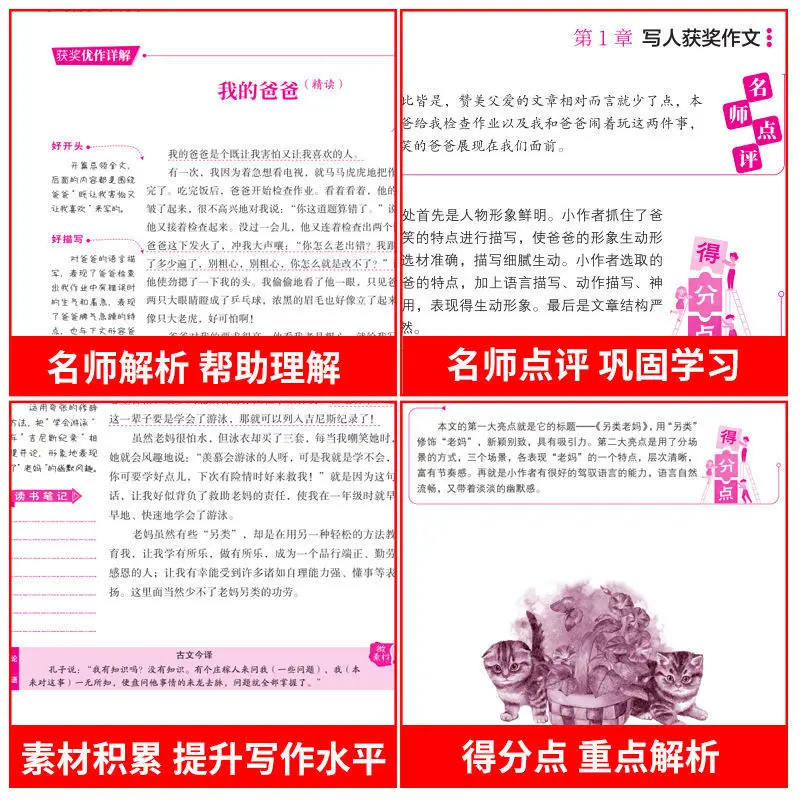 Complete Collection of Award-winning Essay Books for Xiaoshengchu, Material Accumulation, Explanations From Renowned Teachers