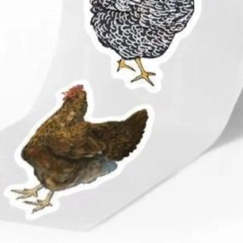 New 500PCS Creative Hen Roll Adhesive Tape Animal Graffiti Laptop Case Desktop Water Cup Stickers