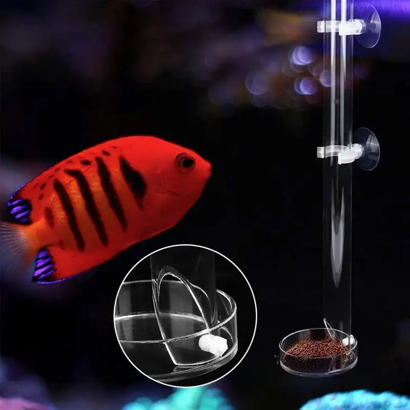 Acrylic Shrimp Feeding Tube Transparent Fish Tank Shrimp Snail Shrimp Food Feeder Bowl Aquarium Feeding Accessories For Fish