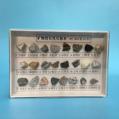 

Mineral, rock, fossil specimens, 4th grade science experiment, 24 kinds of rock specimens, natural geography and geology