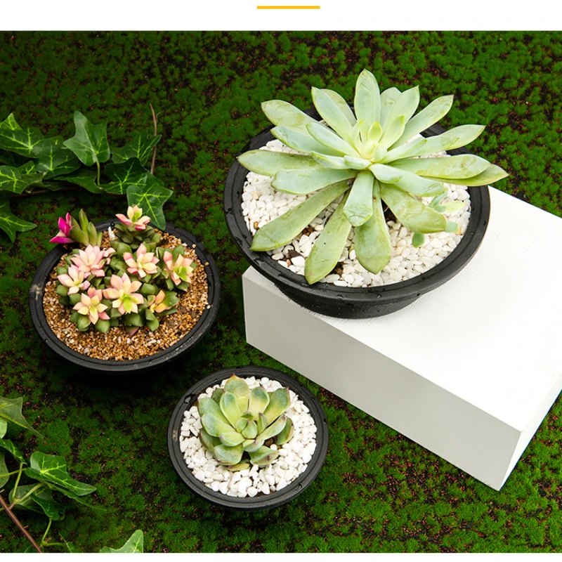 Plastic Round Succulent Flower Pots Succulent Pot Small Green Plant Flower Pot Garden Planter Flower Pot For Desktop Decoration