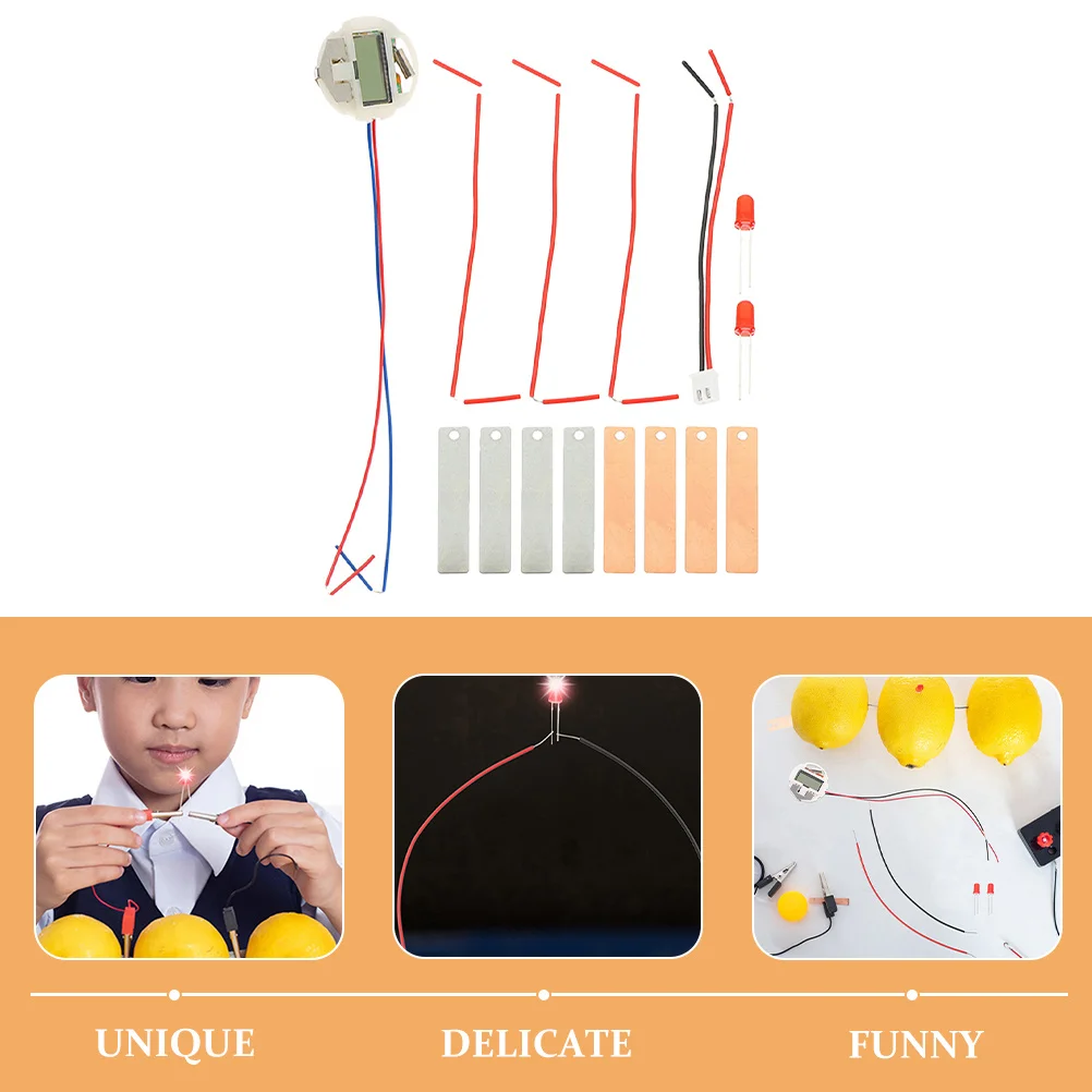 3Sets Fruit Science Kit Creatieve DIY School Experiment Kit Maken Set voor studenten Wetenschapsspeelgoed