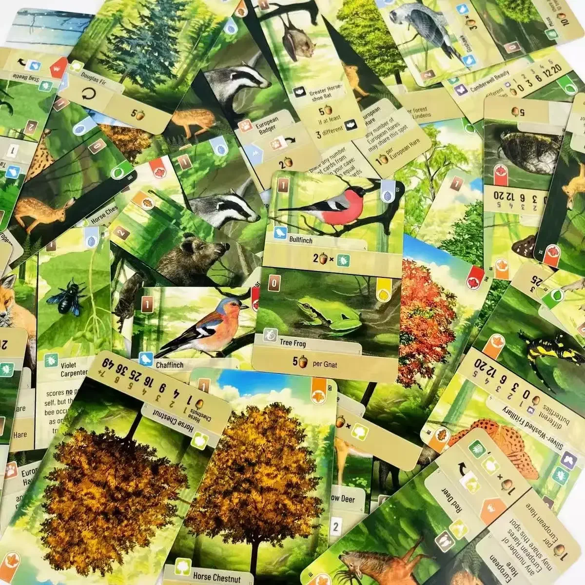السياحية بيير فورست شافل النسخة الإنجليزية Forest Shuffle مجلس بطاقة الألعاب جمع بطاقة لعبة متعددة اللاعبين جمع غير رسمي