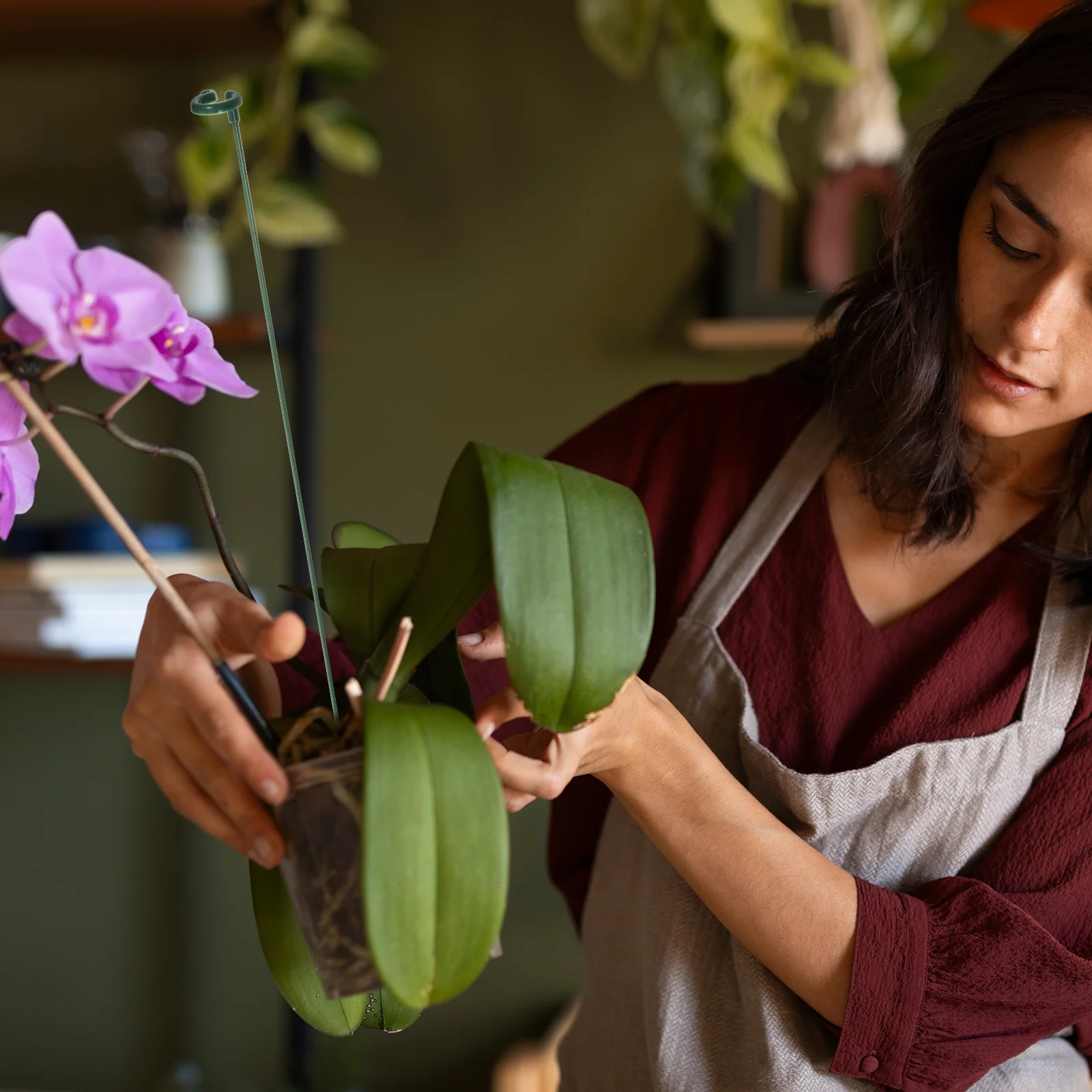 

12Pcs Garden Plant Stakes Orchid Peony Rose Support Brackets Stable Single Stem Flower Support Frames for Outdoor Use