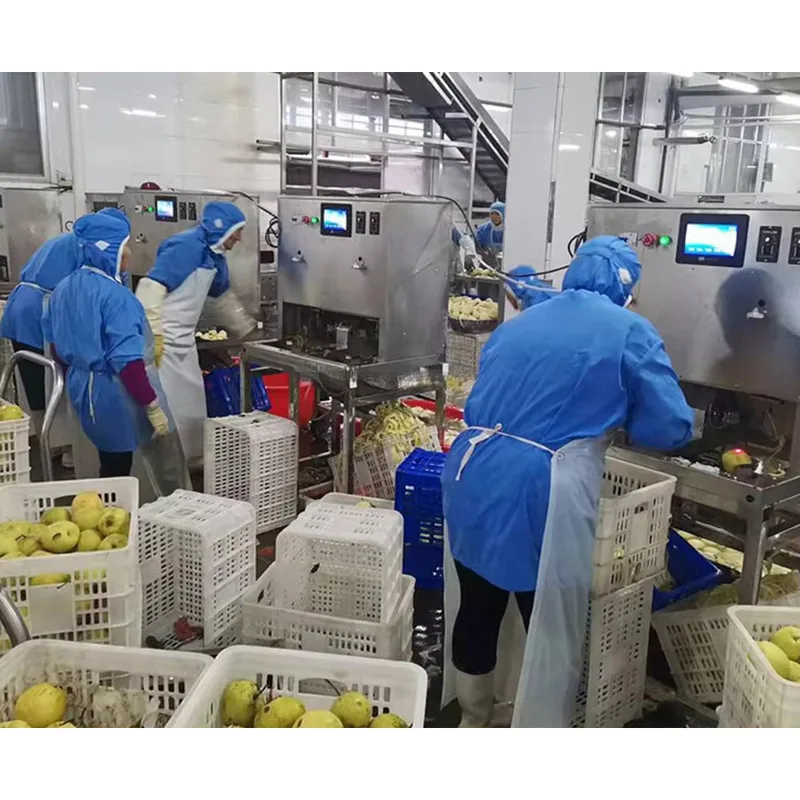 자동화 주황색 사과 껍질을 벗김 기계 전기 사과 껍질을 벗김 기계