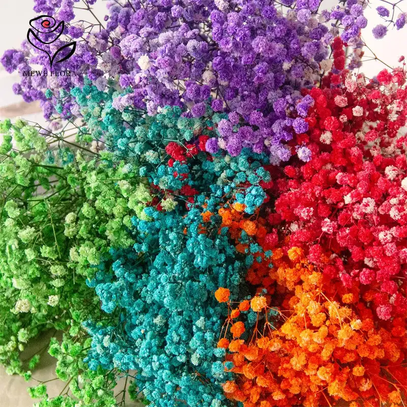80g Mix Gypsophila Baby Breath Dried Flower Bouquet Boho Wedding Photo Prop Decoration Preserved Gypsophile Home Room Vase Decor - Image 5