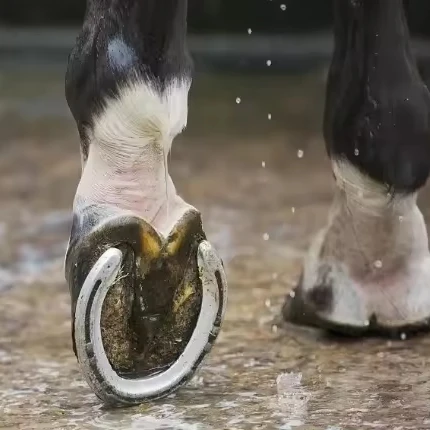 Customized Cast Iron Horseshoes for Indoor or Outdoor Wall Decor, Rugged Hardware for Horse Owners