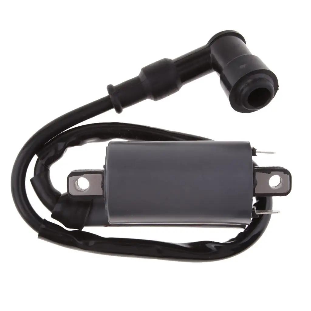 

Performance Motorcycle Ignition Coil for Buyang 300CC Black
