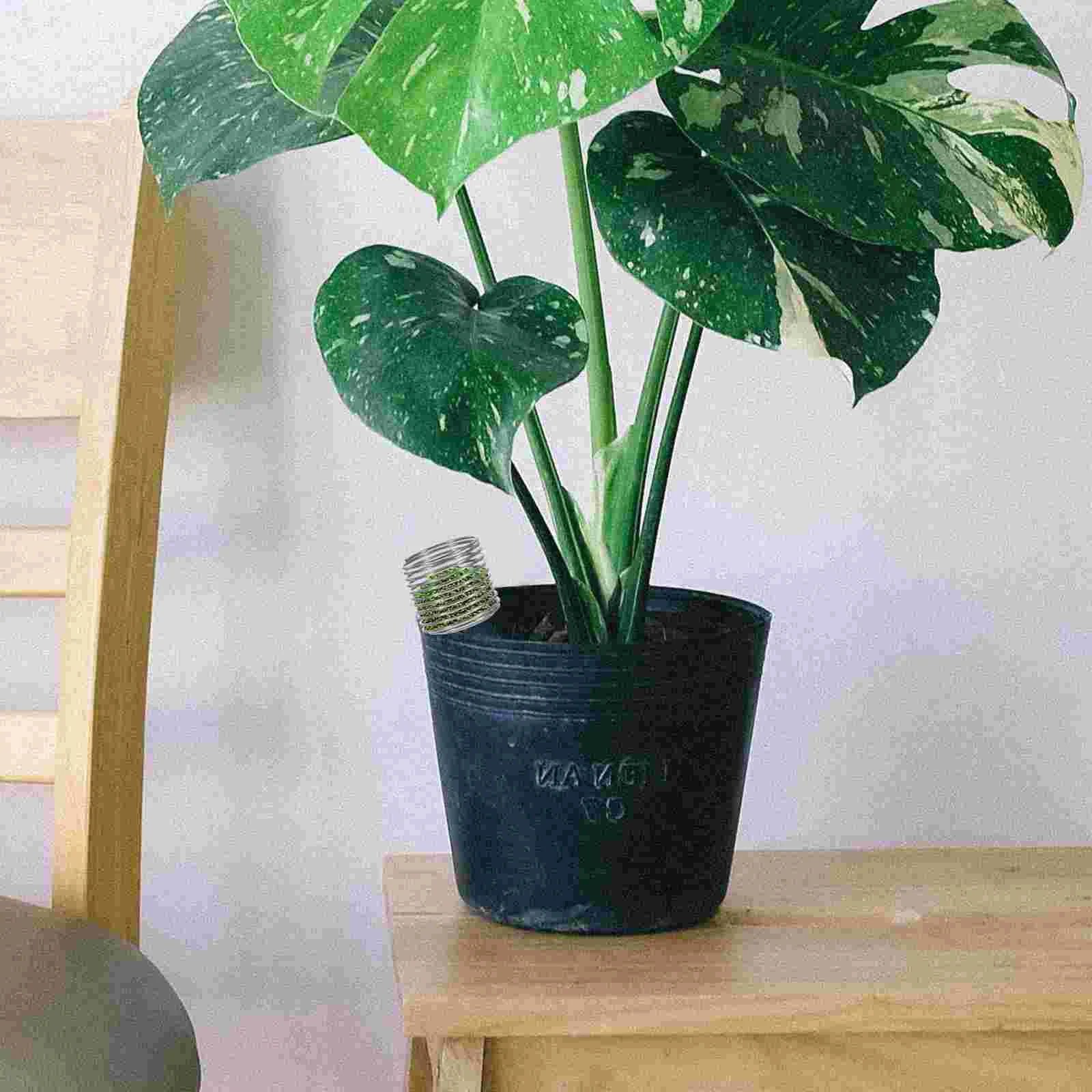 Box Pflanzung Düngung Container Korb Edelstahl Boxen Bonsai Werkzeug