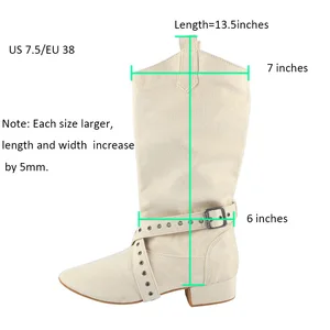 Damenstiefel mit individuellen Absätzen und Farblinien, 28 Farben, Beige, lange Tanzstiefel, flexible Wildledersohle 12 Hauptverkaufssprung tanzen - №6