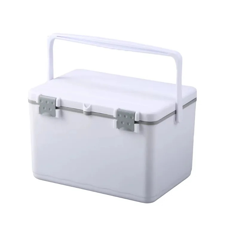 22L Portable Car Mounted Refrigerator Outdoor Picnic Cooler Food Storage Ice Box Plastic Ice Chest Cooler for 30 Cola Cans