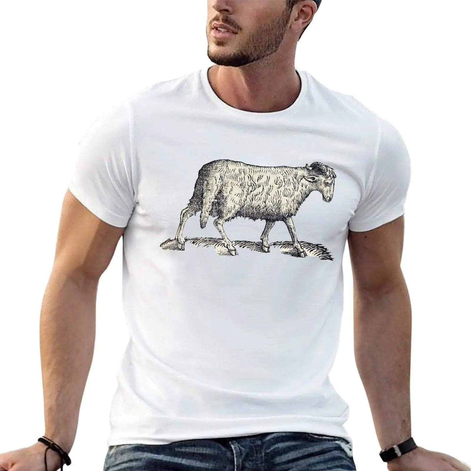 

woodcuts bestiary - arabian sheep T-Shirt man t shirt heavy cotton t shirts for man graphic vintage man t shirt cotton T-Shirt