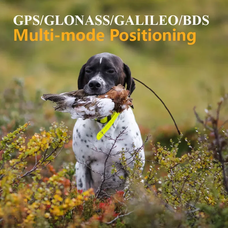 Ultimate Hunting Dog GPS Training System Big Screen Collar, Waterproof, Dual-Thread Storage