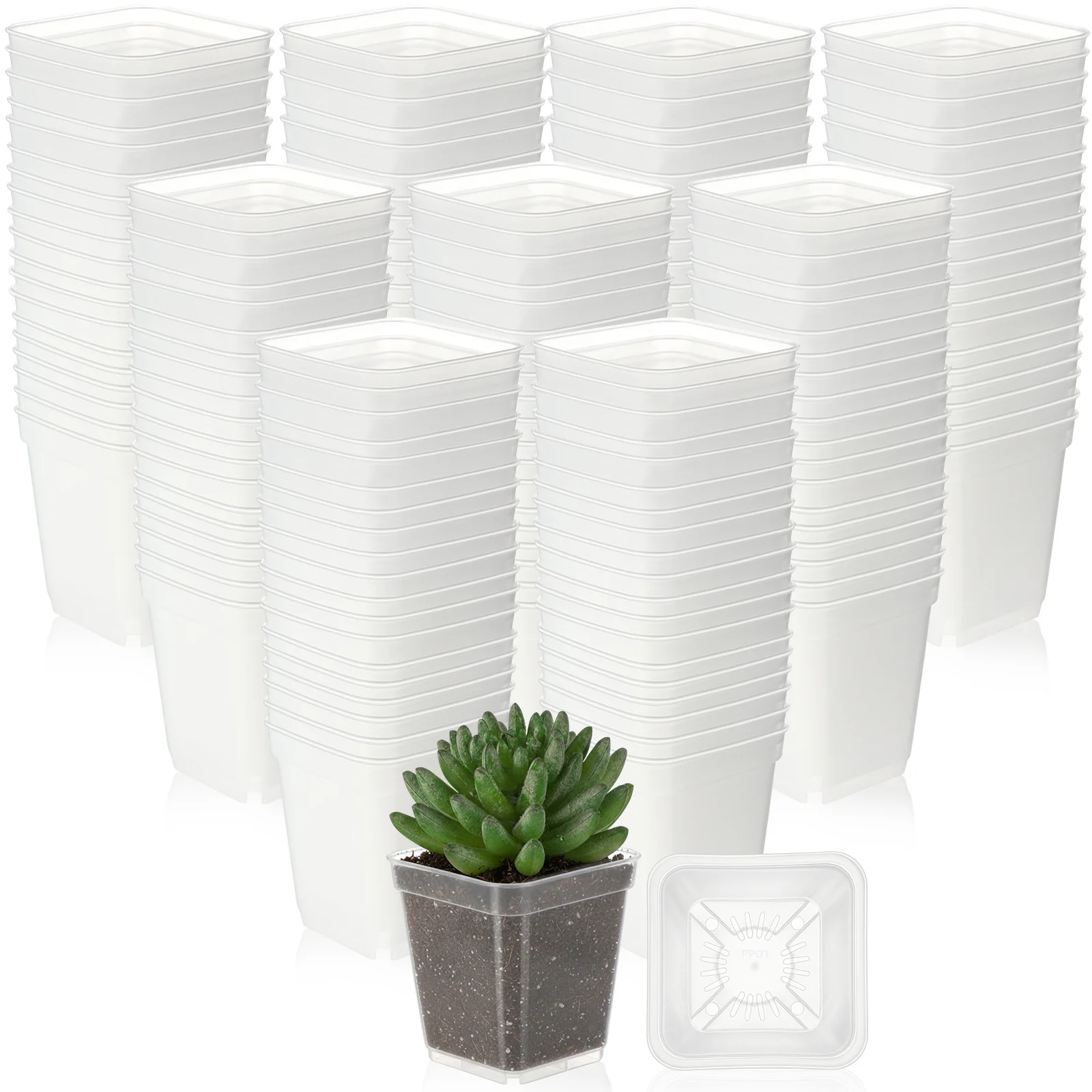 

200 Pack 3 Inch Clear Square Nursery Pots | Plastic Plant Succulent Planters with Drainage Holes for Indoor and Outdoor Use