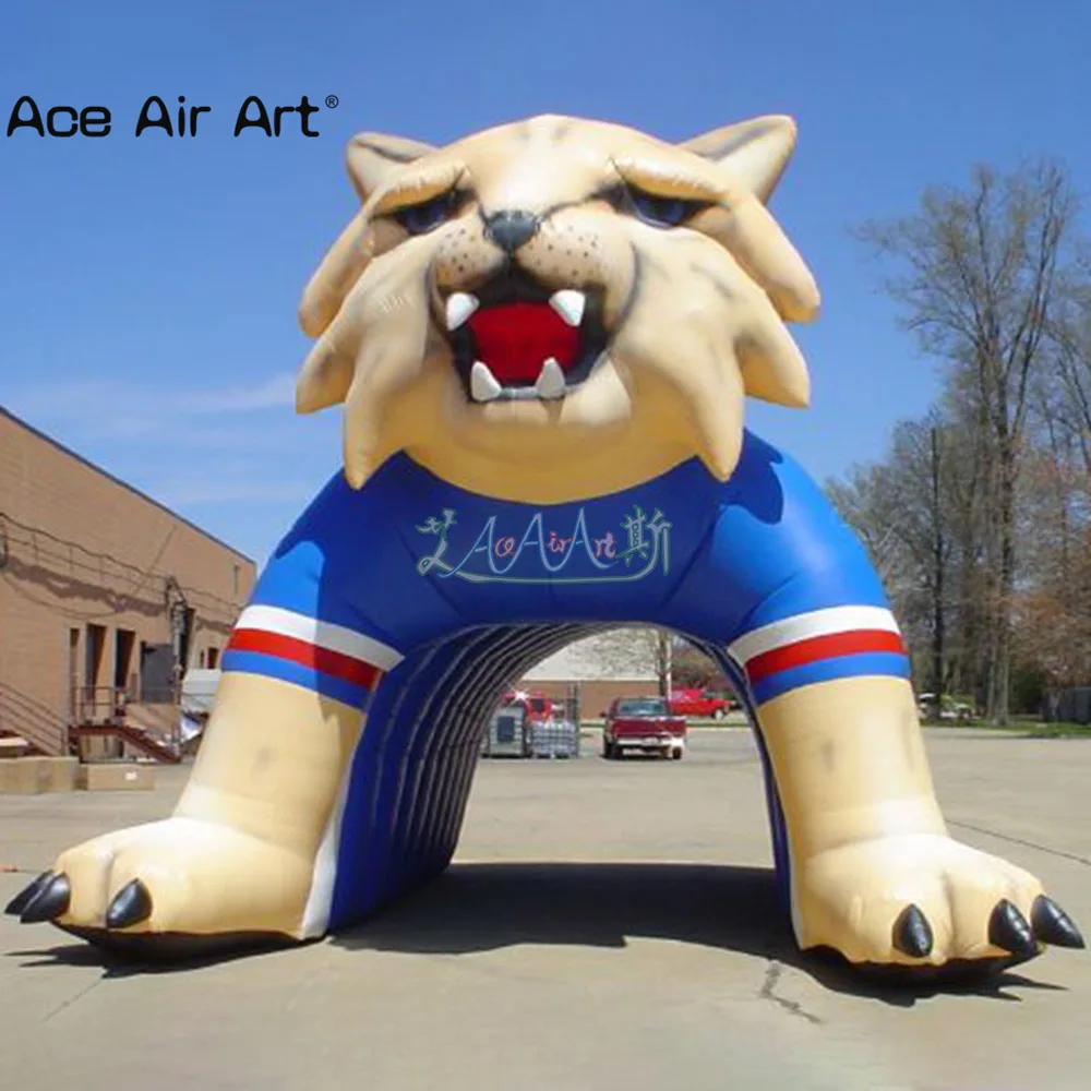 Mascotte de loup personnalisée avec ballon gonflable, tête d'animal, Tunnel de loup, abri de repos, tente pour Sports de terrain