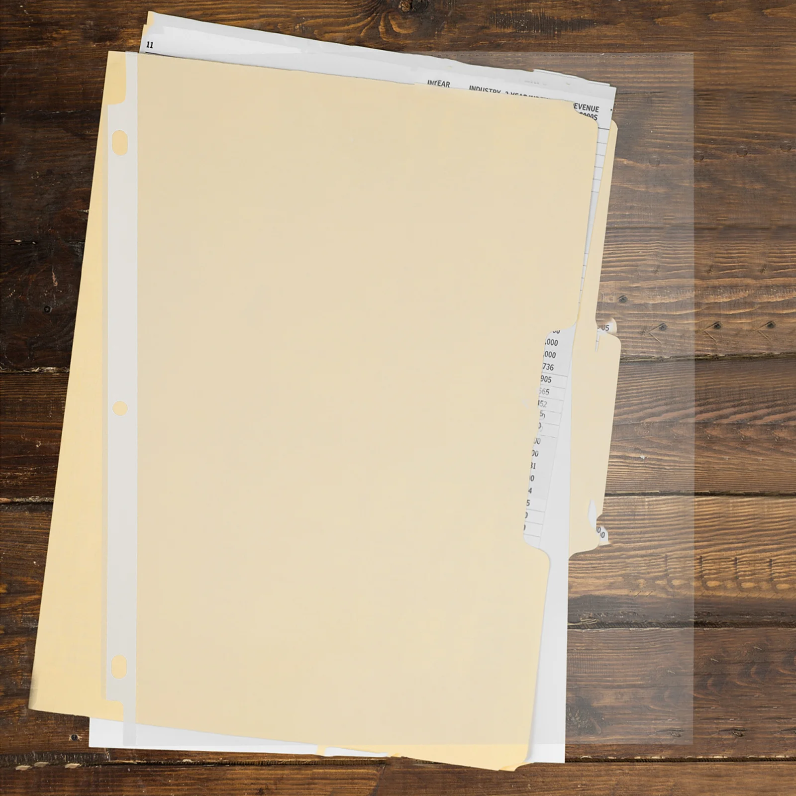 

50Pcs Transparent Page Protectors Heavy Duty Plastic Binder Sleeves Clear Document Holders Versatile Design A4