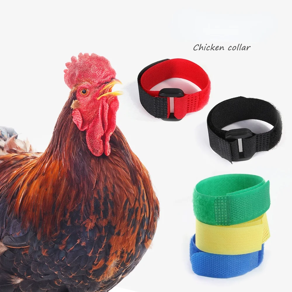 2PCS Chicken Collar No-Crow Rooster Collar Fowl Neckband Accessories for Farm Poultry Noise Free Anti-Hook Neckband Collar