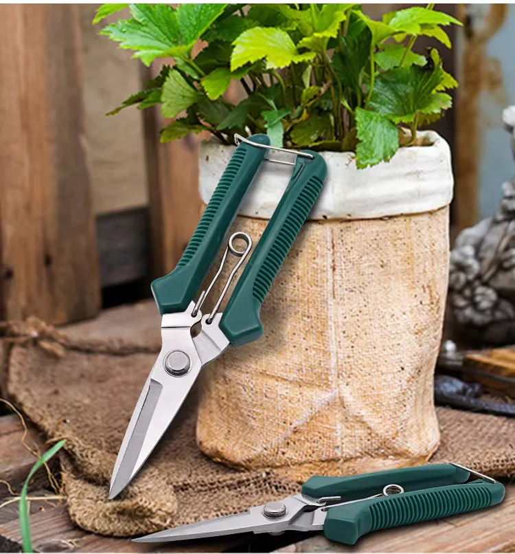 مقصات تشذيب الرأس المستقيمة مقبض مانع للانزلاق من الفولاذ المقاوم للصدأ أدوات يدوية مقص حديقة بونساي مقص Pruing القص