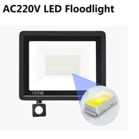10W 20W 30W 50W 100W 150W Induction LED Flood Light 220V PIR Motion Sensor Floodlight Spotlight Street Square Outdoor Lighting