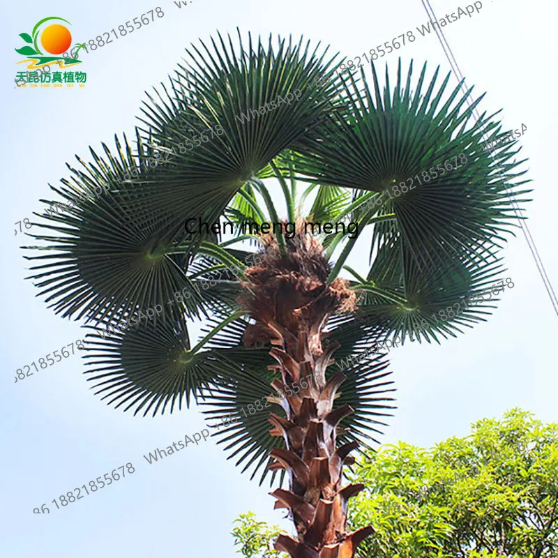 Tiankun simulated palm, large outdoor fresh-keeping palm simulated tree