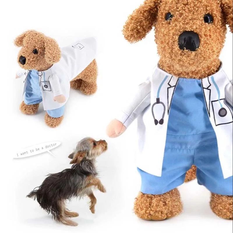 #78 Latest Puppy Coats Offers