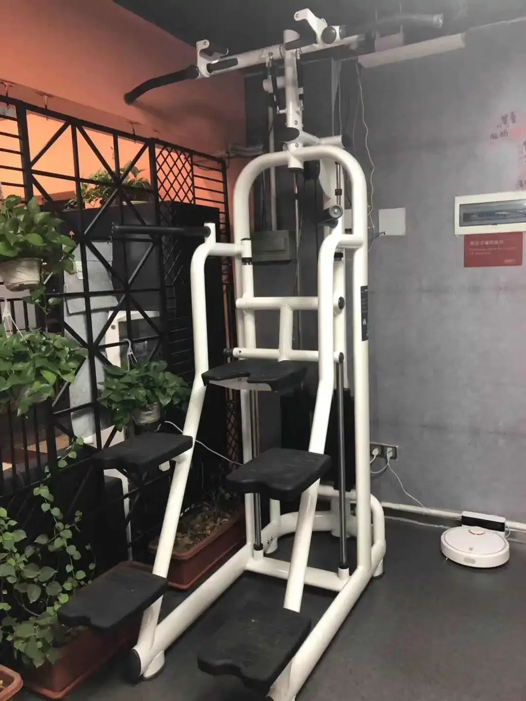 2026 Assisted Chin Up Dip Machine Upper Limb Training Club Equipment