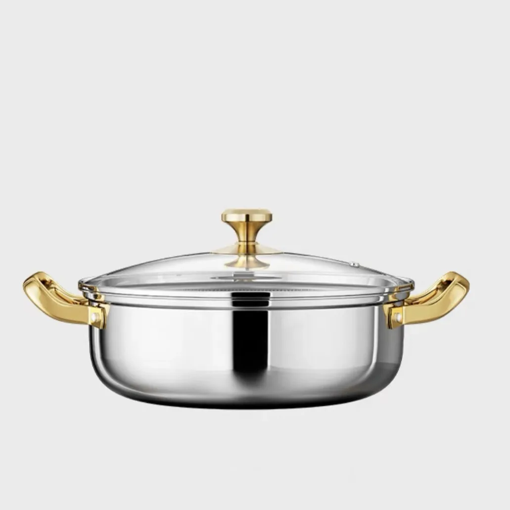 Stainless Steel Hot Pot Induction Cooker Special Household Soup Pot