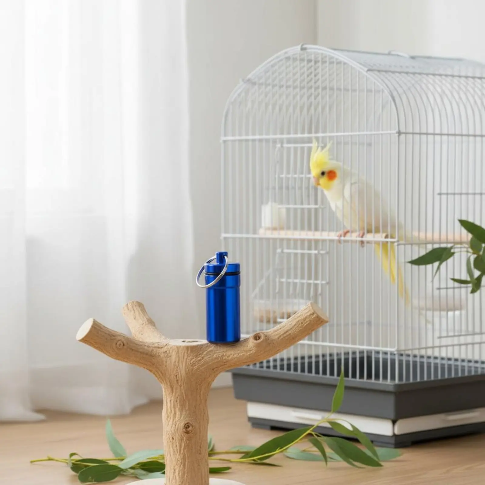 Avian Training Food Box Small Size Slide-Extendable Treat Box Slide Top Treat Tin Long-Lasting Parrot Food Jar Multiple Styles