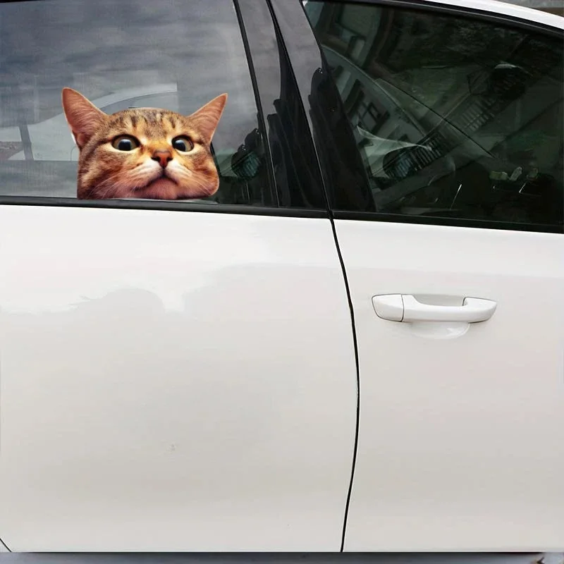 قطعتان من ملصقات الفينيل الرائعة لنافذة القط مقاس 13 × 9 سم، ملصق مقاوم للماء ثلاثي الأبعاد مضحك للسيارة والشاحنة وسيارات الدفع الرباعي والكمبيوتر المحمول