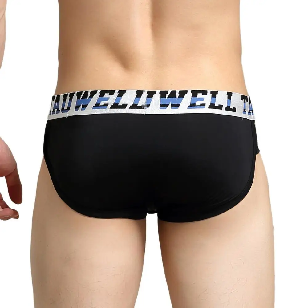 TAUWELL Men Briefs Sexy Transparent Underwear Low Waist Triangle Underpants Male Panties Bikinis Briefs for Man