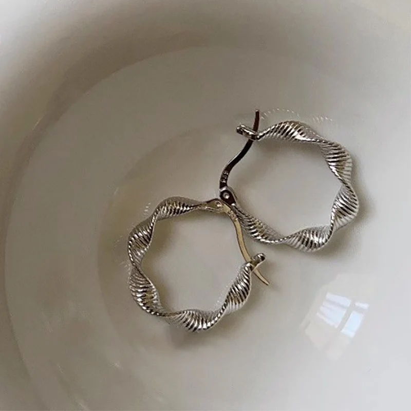 Foxanry Prevent Allergy Twist Geometric Hoop Earrings For Women Couples Classic Simple Hip Hop Creative Birthday Jewelry Gifts