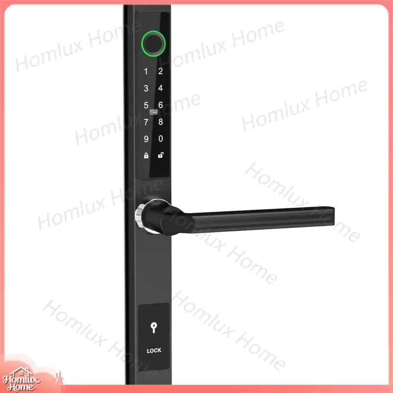 WiFi Enabled Outdoor Smart Door Lock with Digital Password Fingerprint Access Control Aluminum Alloy European Style Cloud