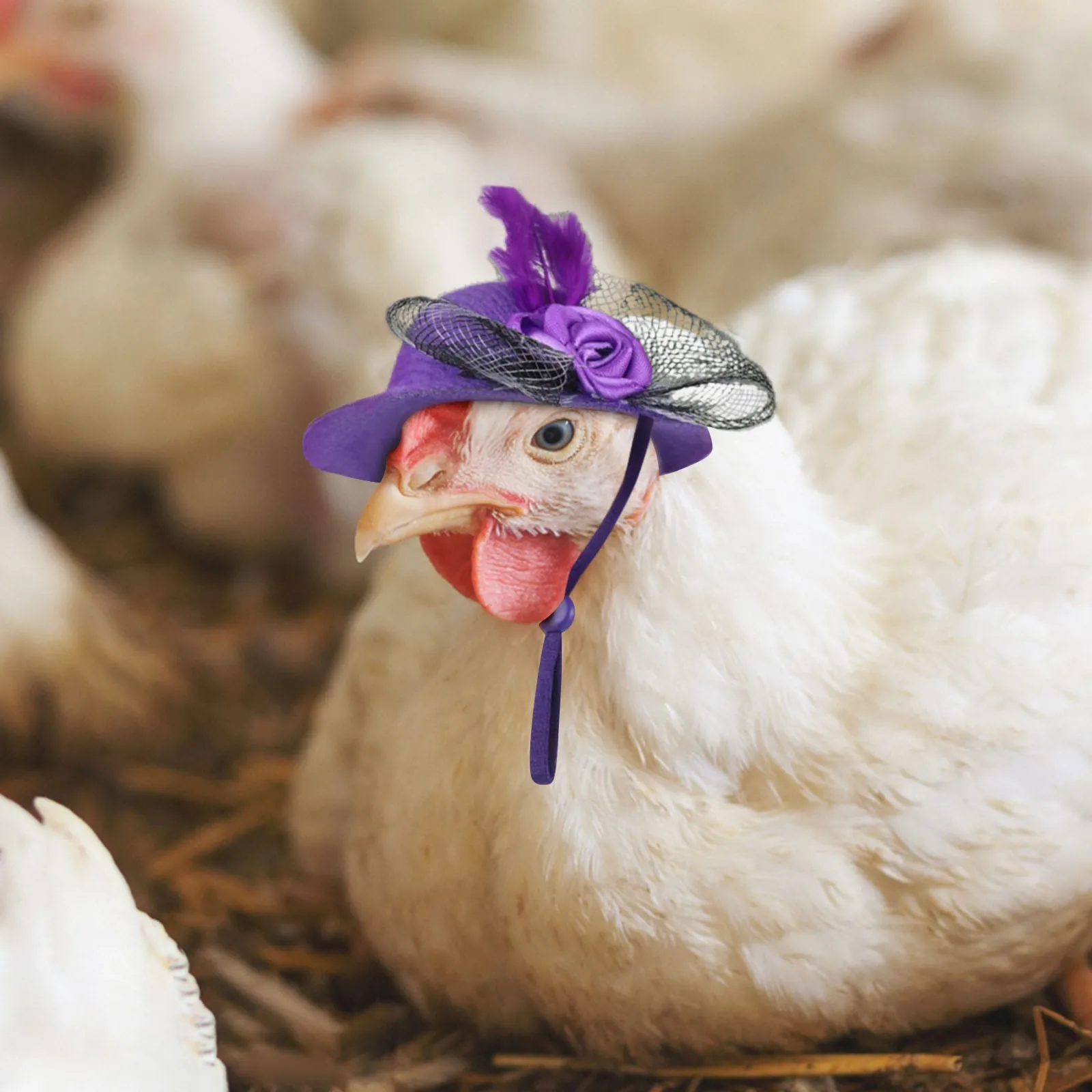 Cappelli di pollo per gallina piccoli divertenti accessori per polli cappello a cilindro in piuma