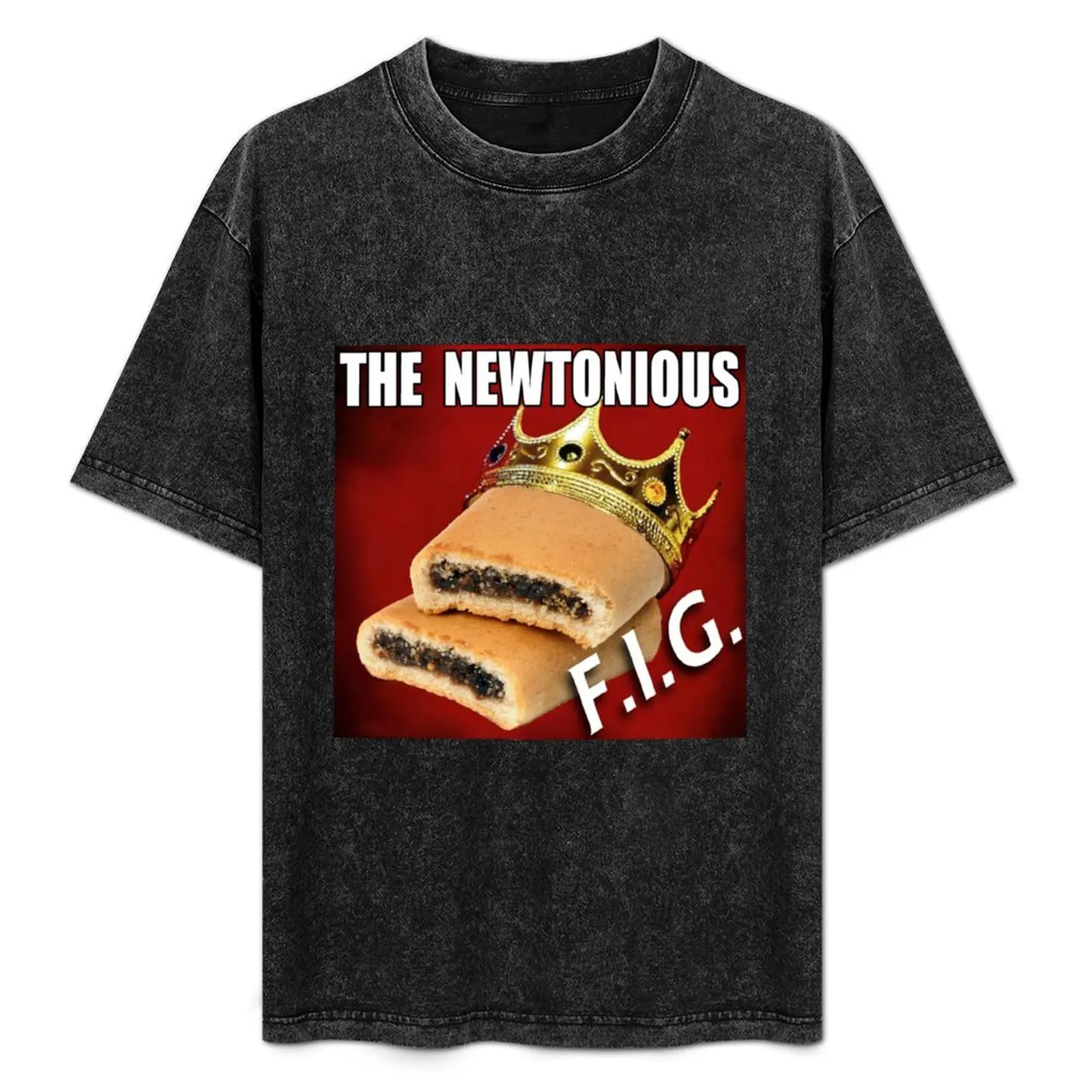 The Newtonious F.I.G. T-Shirt shirts graphic graphics funny gifts t shirts for men pack