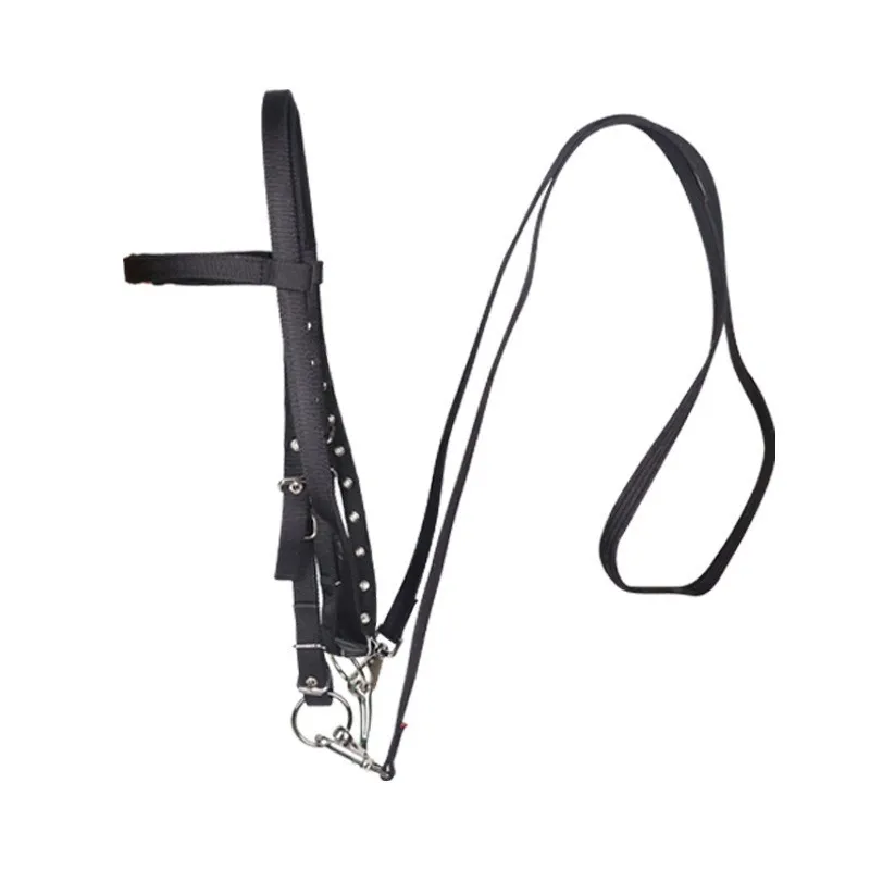

Durable Coated Nylon Horse Bridle Waterproof Horse Halter Lead for Riding and Racing
