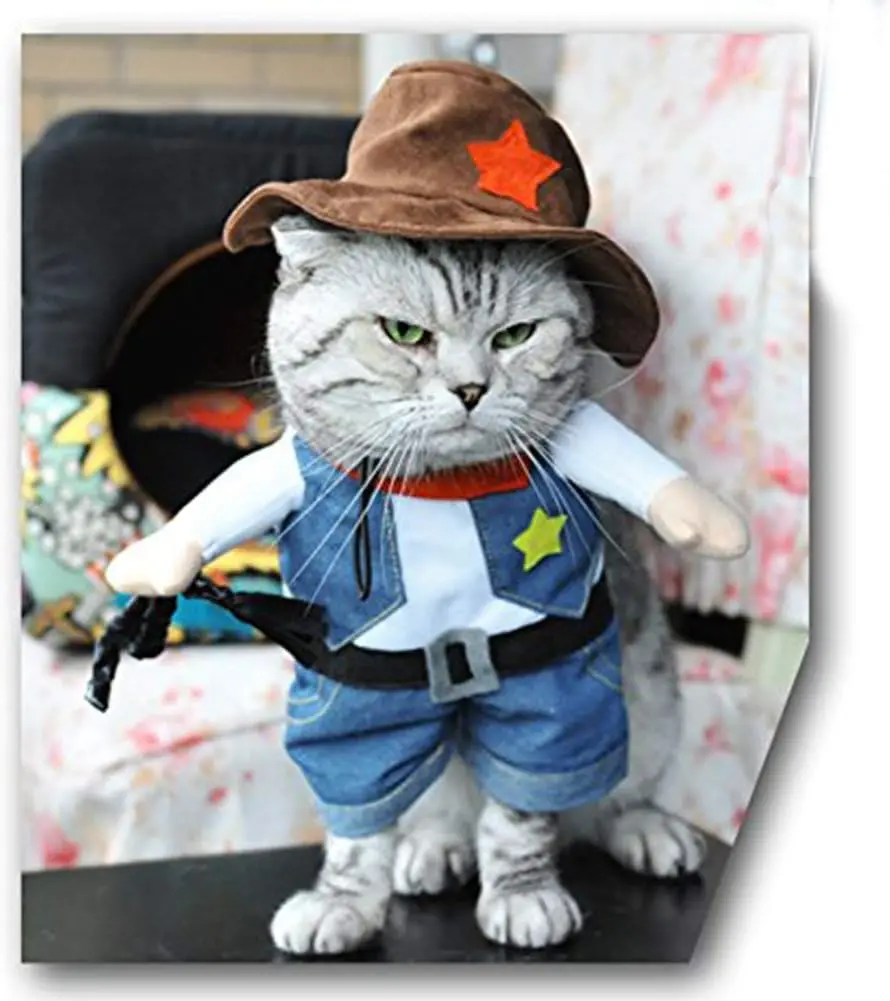 Funny Pet Dog Cat Halloween Costume Dog Cowboy Clothes Pet Dog Costumes for Small Dogs Cosplay Cat Accessories