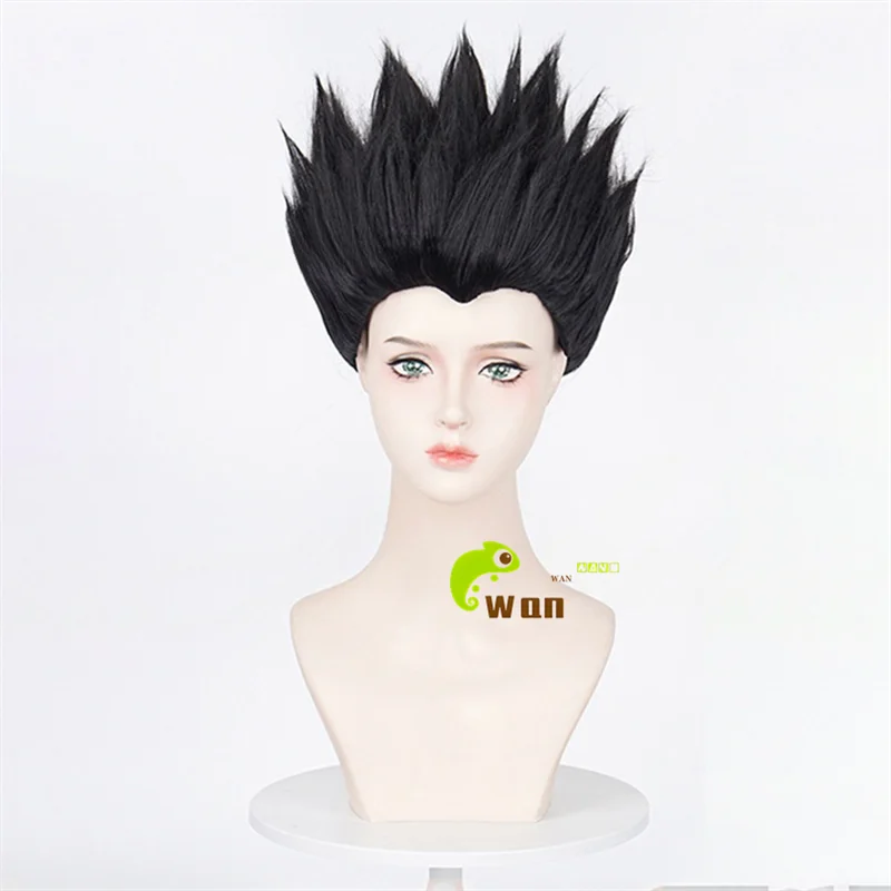 Anime Leorio PaladiKnight Cosplay Wig Black 30cm Short Leorio Wigs Heat Resistant Synthetic Hair Halloween + Free Wig Cap