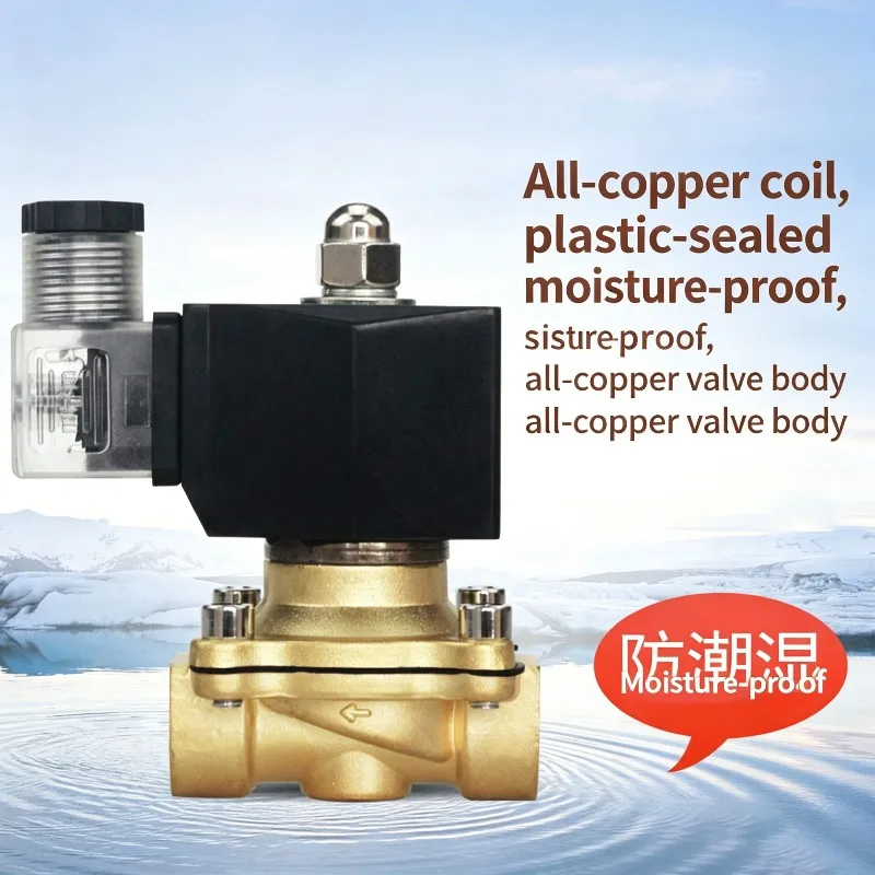 Normally Closed Brass Water Valve Solenoid Valve IP65 for Water Oil Air 12V/24V/220V/110V 1/4