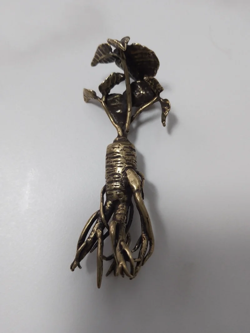 Antique Handmade Brass PANAX C.A. MEYER GINSENG Craft DIY ornament Miniature Desktop decoration accessories Gift q3797