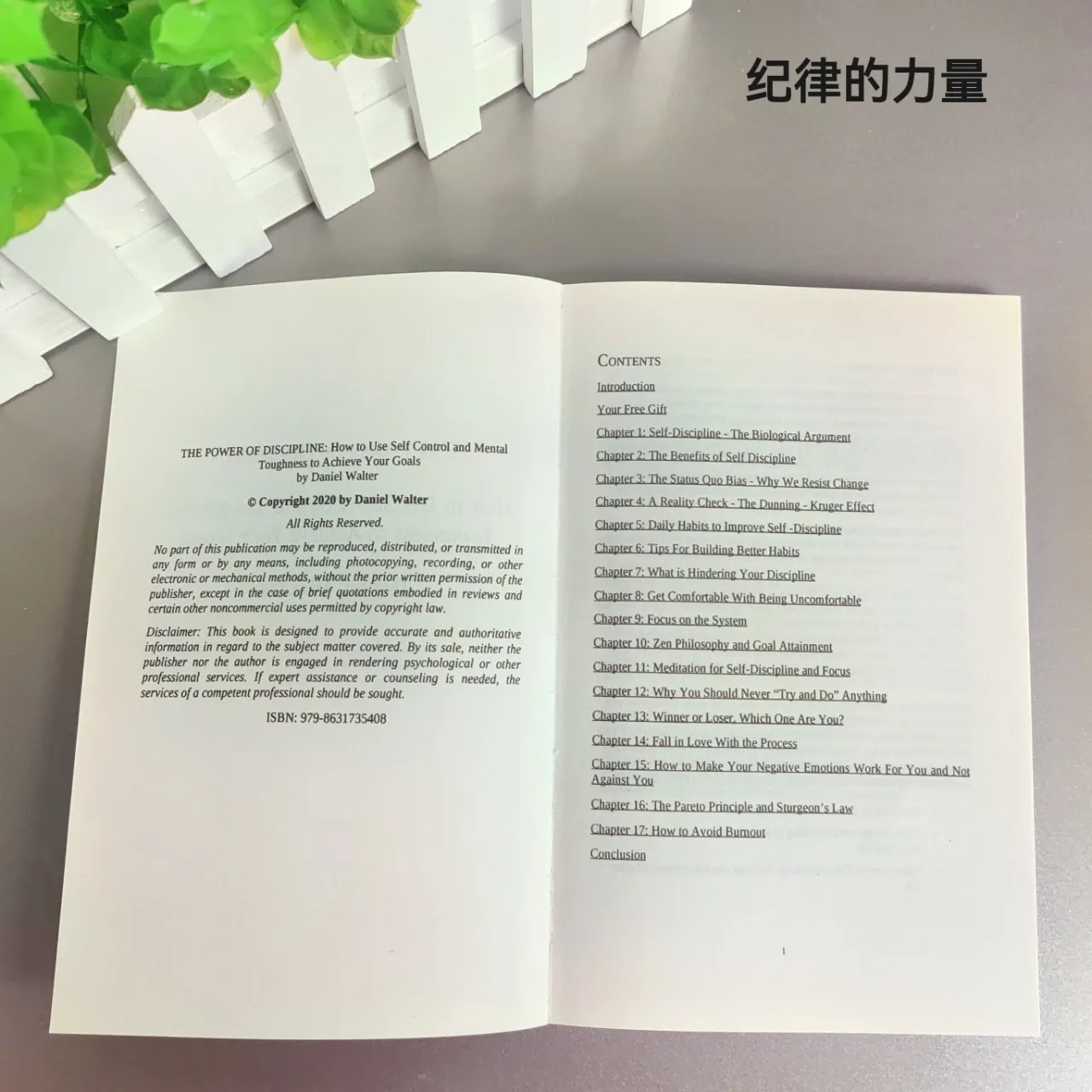O Poder da Disciplina: Como Usar Auto Controle e M