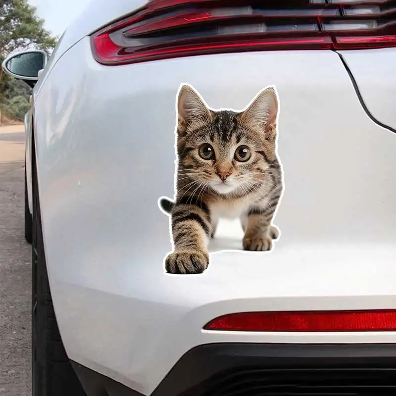 

Cute Raccoon Cat Car Sticker Vinyl Decal Waterproof Rear Window Motorcycle Camper Bumper Truck Laptop Decoration SH1600