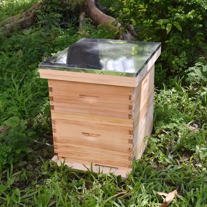 

2026 High-Quality Eco-Friendly Wooden BeehivesNew Langstroth Bee Hive with 8 and 10 Frames Wooden Beehives for Bee Farm Applicat