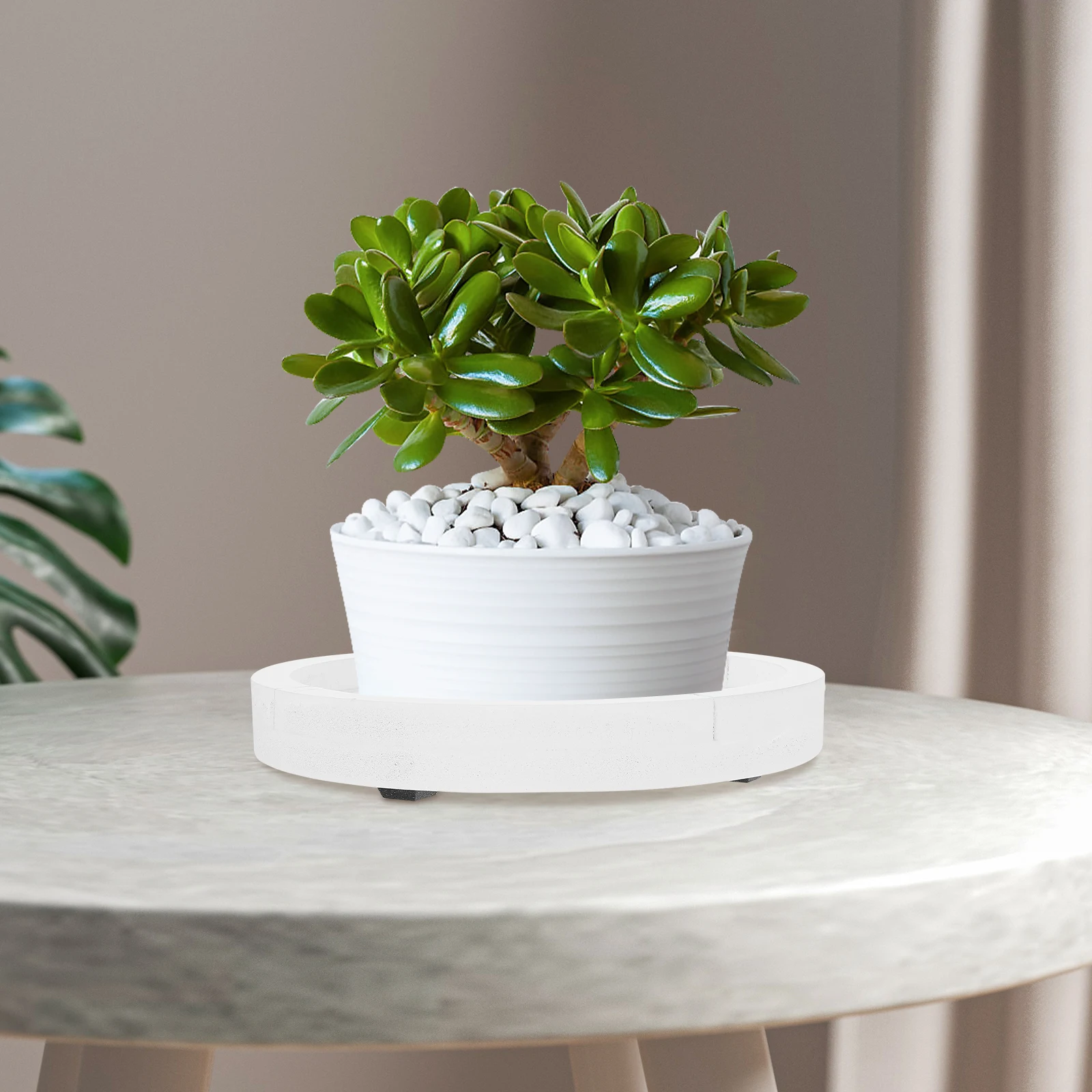 

Plant Flower Pot Tray Flowerpot Stand Saucer Plastic Planter Round Pots White Drip for Potted Plants