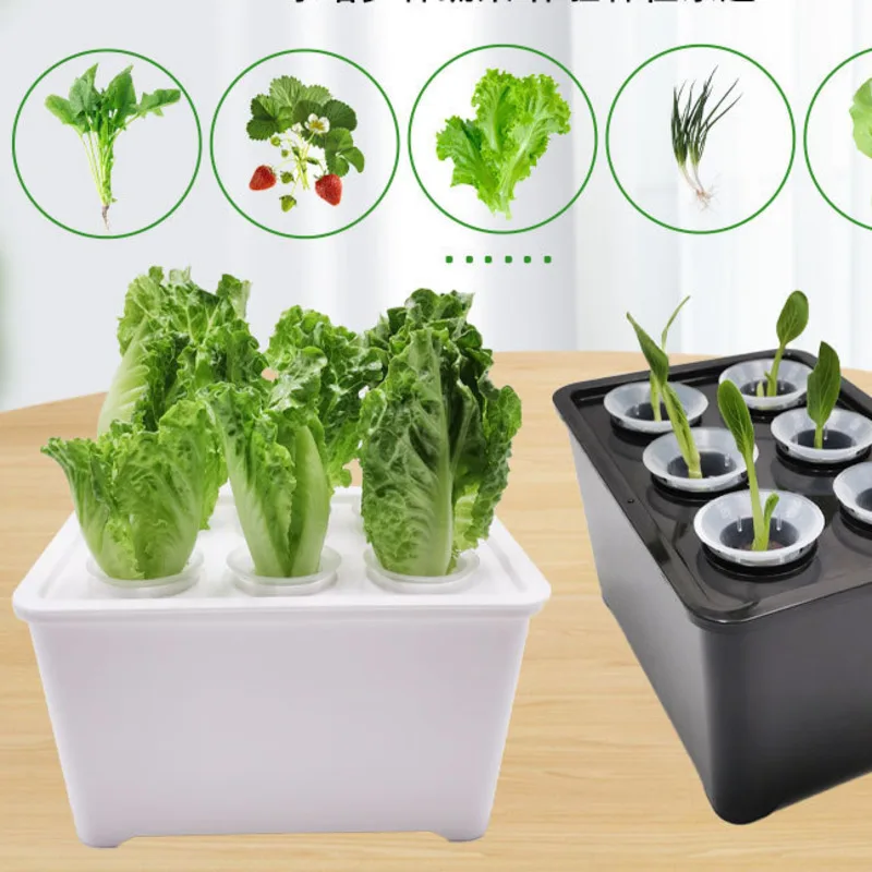 Hydroponic Grow Box Indoor Versatile Sunlight Water Culture Planter Non Toxic For Home Kitchen Balcony Table Decor For Families