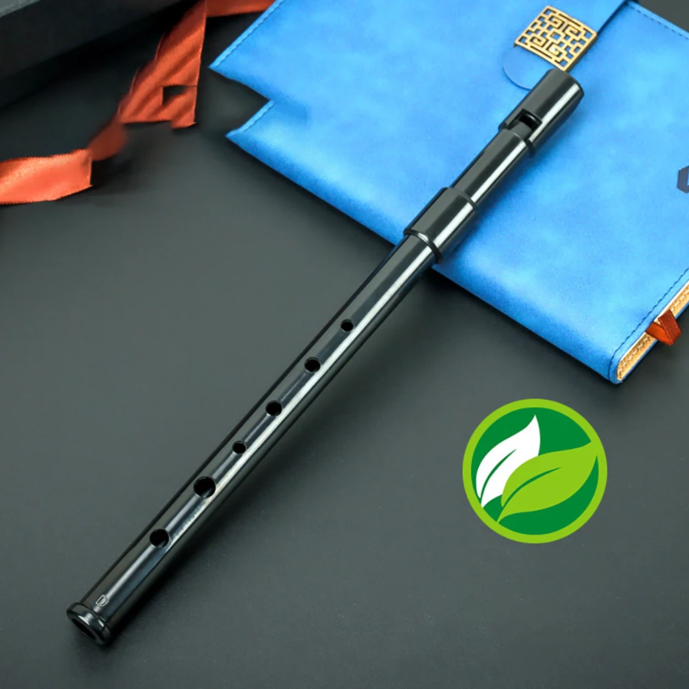 Schwinger Portable 6 Hole Resin Recorder Key D for Beginner Non-toxic Flute Recorder Kids Music