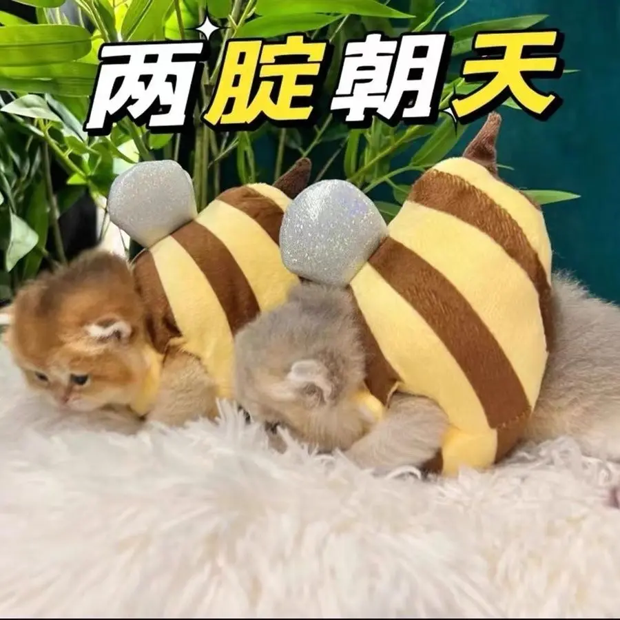 Cat Honey Cute Cat's Little Bee Set Clothes Pet Personalized Thickened Warm Autumn Winter Pet Cosplay Costume