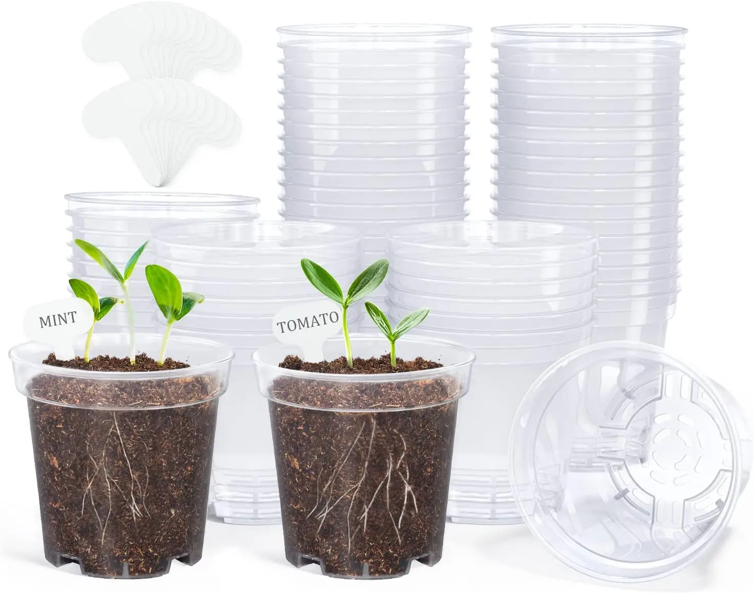 

3 Inch Clear Nursery Pots for Plants, 60 Pack with Drainage Holes & Labels