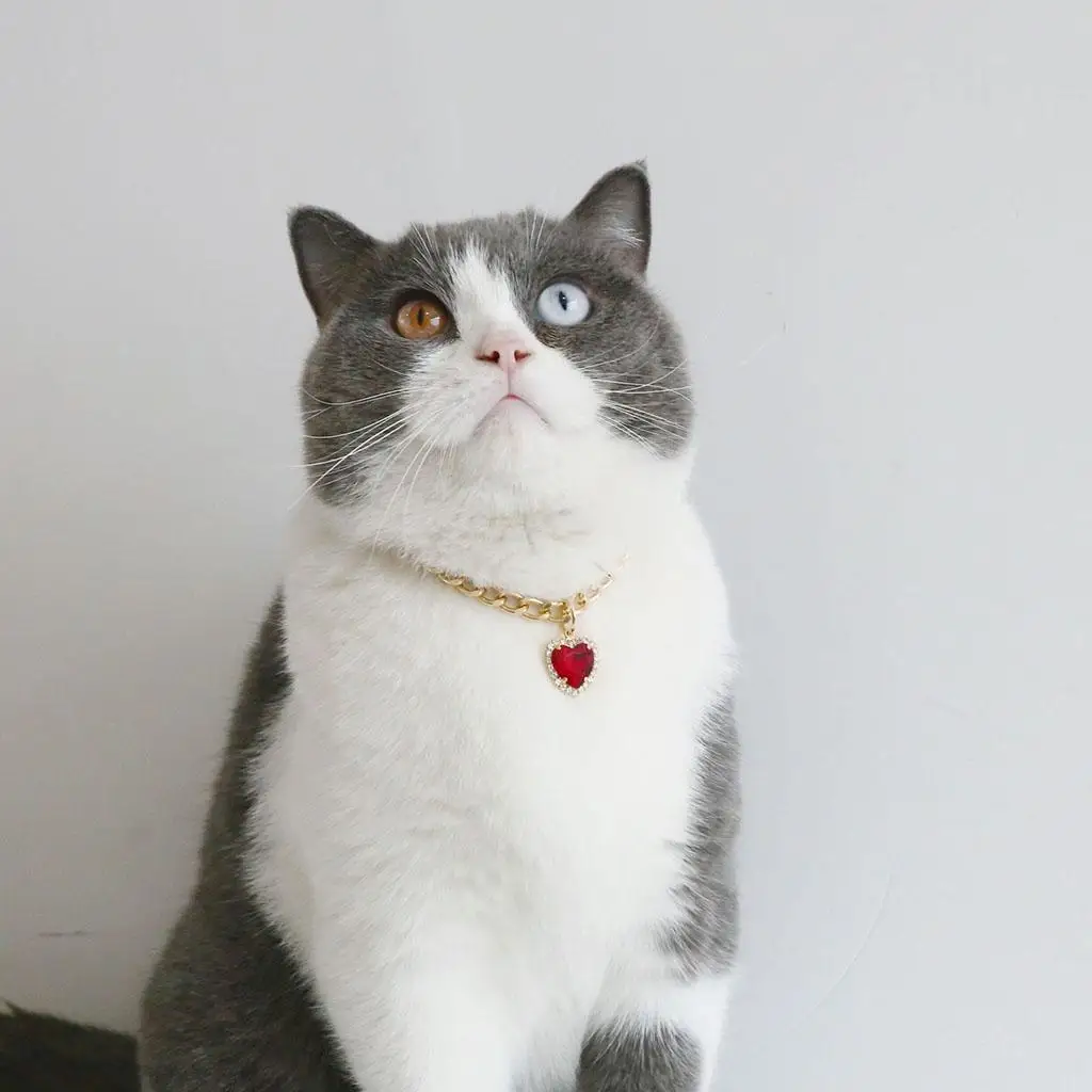 Fashion Pet Necklace Adjustable Resin Rhinestone Water Drop Pendant Dog Cat Collar Chain Jewelry